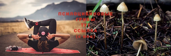 ECSTASY Балахна