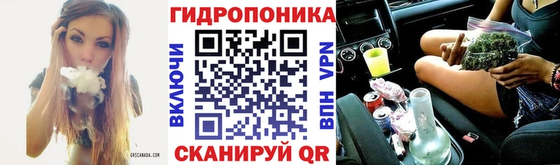 мега вход  где найти   Оленегорск  Шишки марихуана семена 